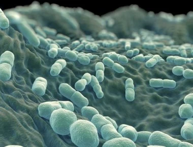 Λιστερίωση: Τα συμπτώματα της λοίμωξης από λιστέρια – Ποιες τροφές είναι πιο επικίνδυνες (βίντεο)